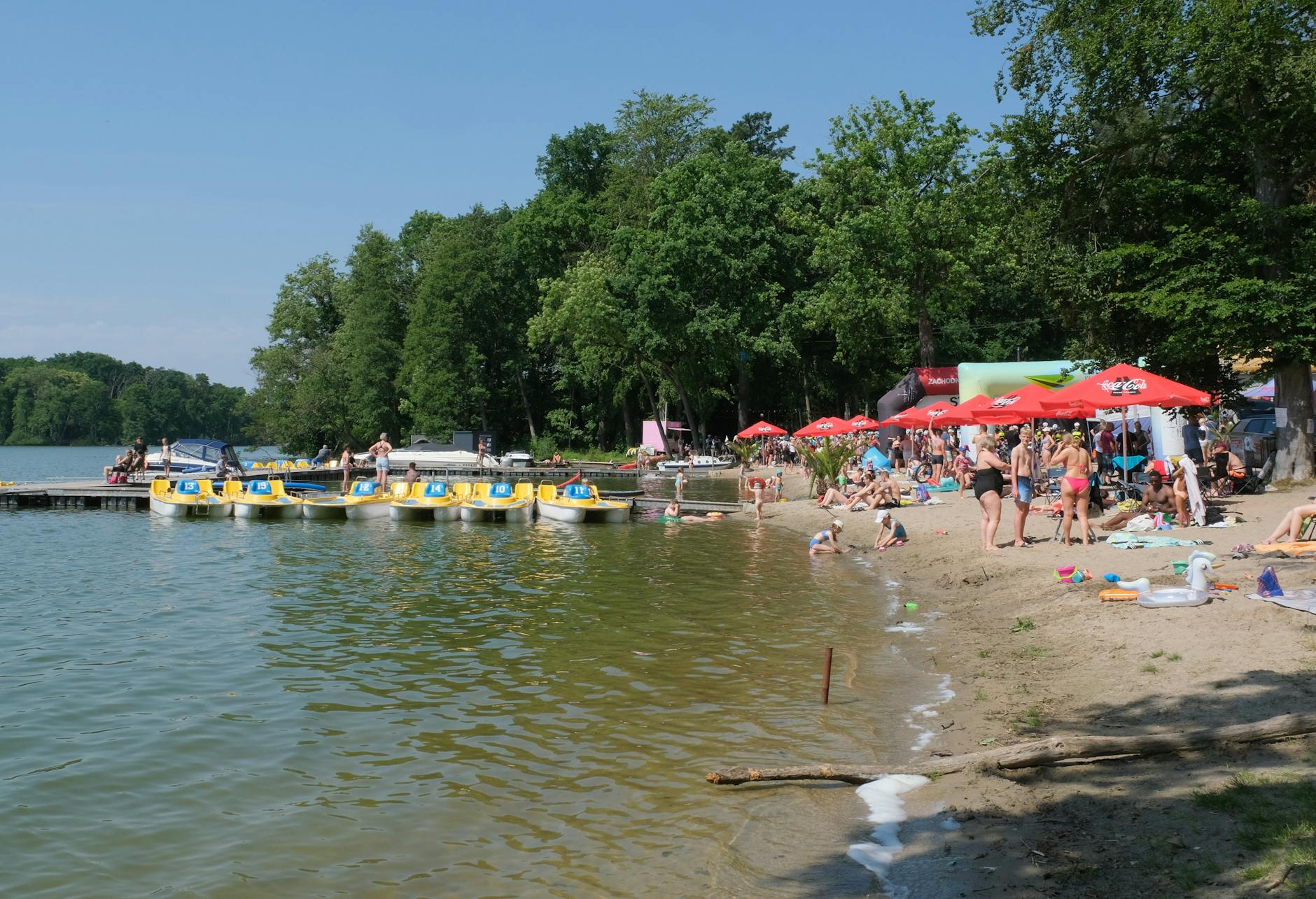 Widok na Zamek Królewski w Łęczycy w słoneczny dzień, z zielonymi terenami wokół.